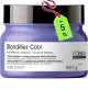 Máscara BLONDIFIER COOL Matizadora 250g Loreal Profissional